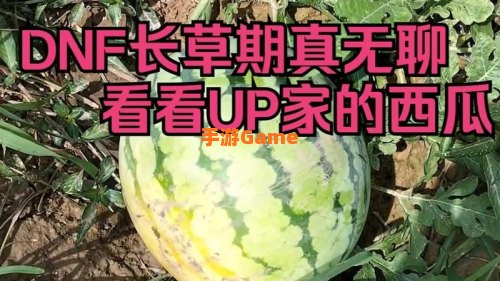 dnf西瓜