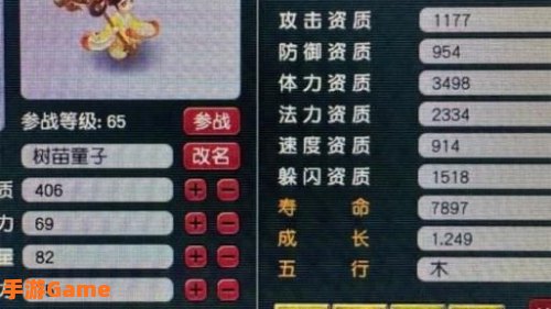 梦幻炼丹