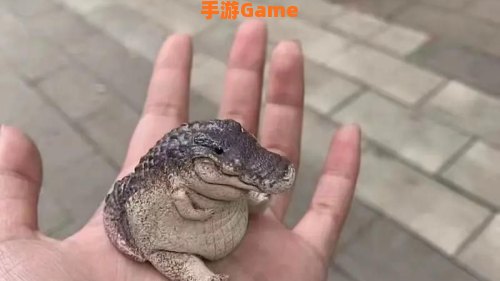 忍者必须死3