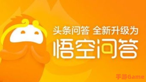 悟空问答