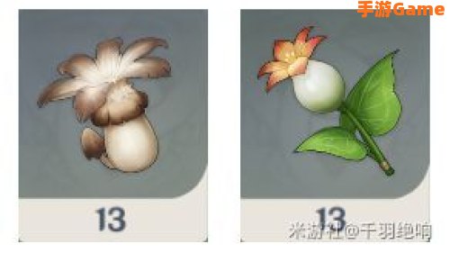 蒙德特产