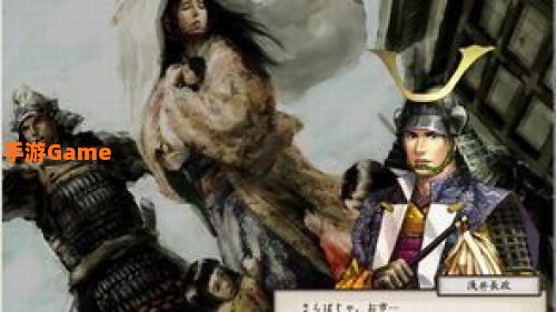 太阁立志传5 女忍者