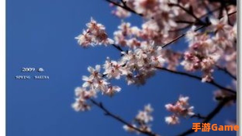 樱花影视